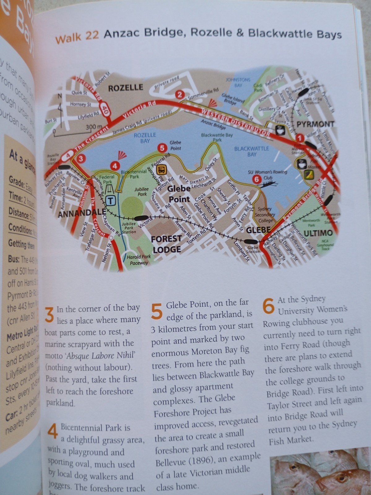 Sydney's Best Harbour and Coastal Walks - 37 Walks By K. O'Brien (2nd Edn. 2013) - Image 4