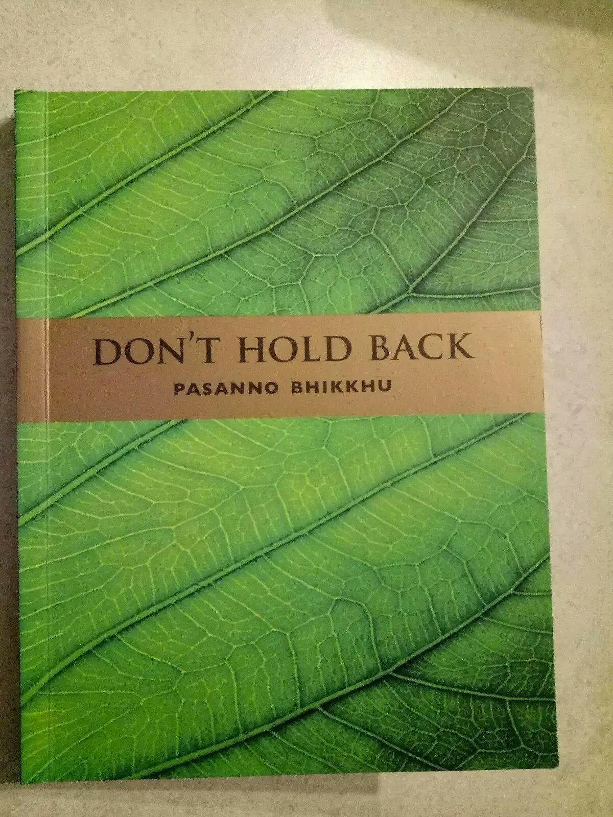 Don't Hold Back (Meditation Teachings) by Pasanno Bhikkhu (Paperback, 2013)