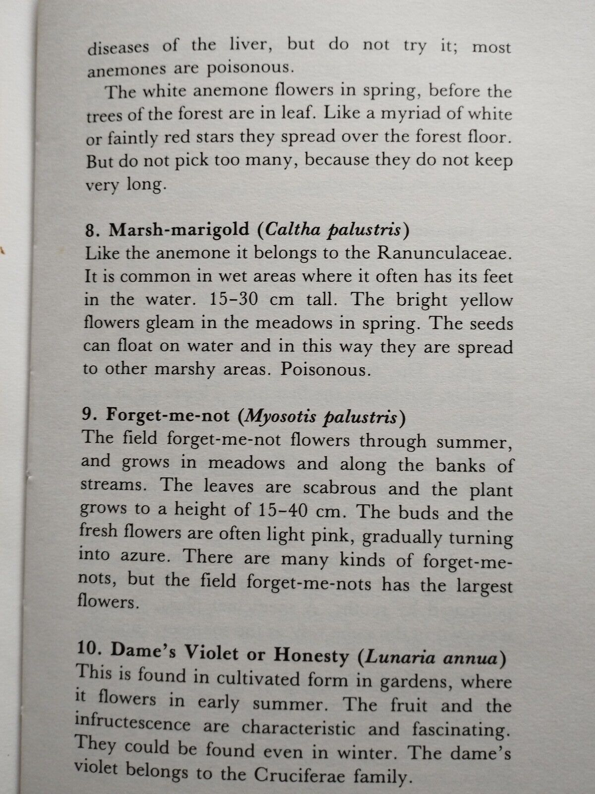 Wildflower Ideas For China Painting by Birthe Koustrup (Hardcover, 1984) - Image 7