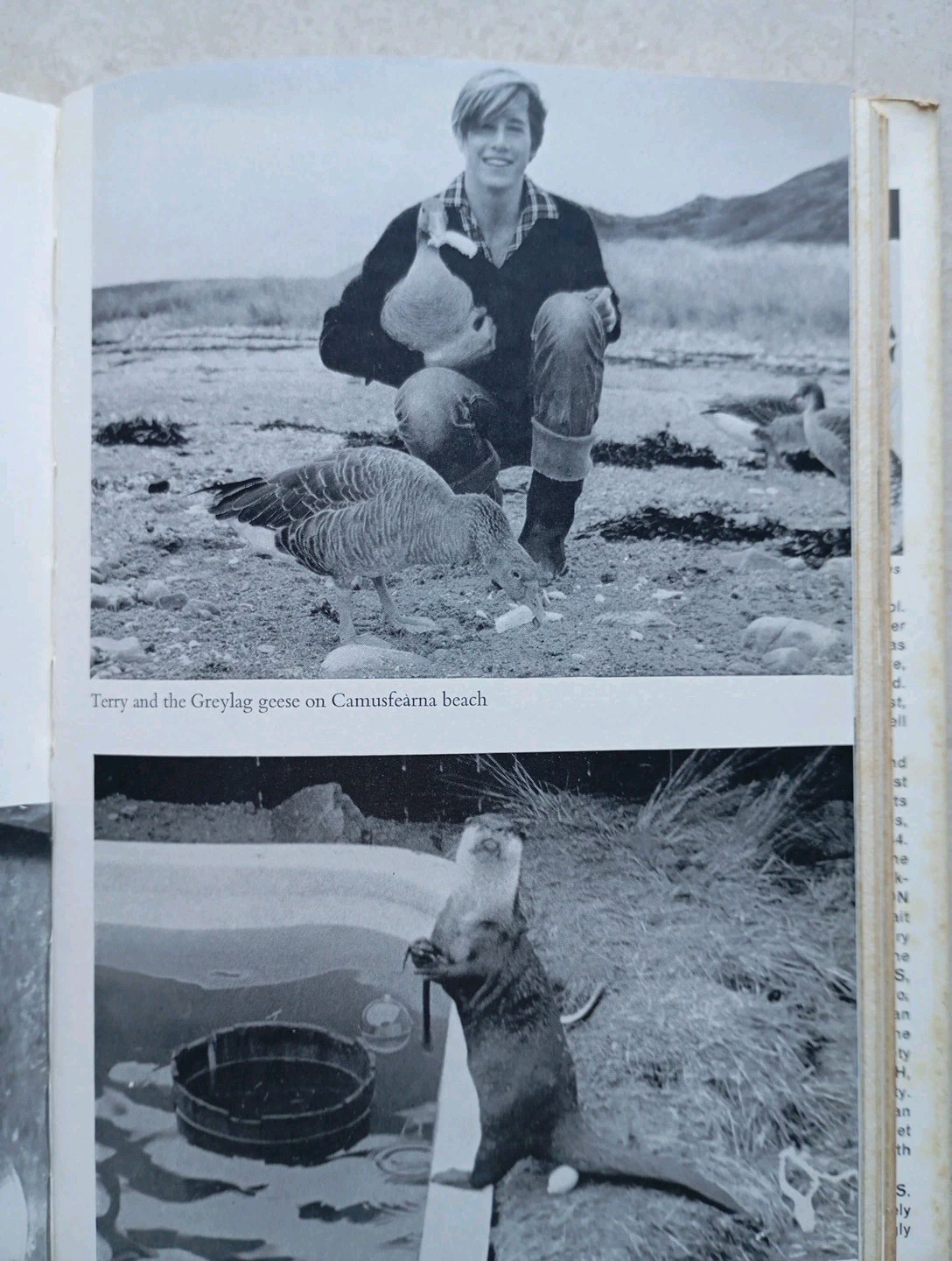 The Rocks Remain by Gavin Maxwell (Hardcover, 1963) - Image 8