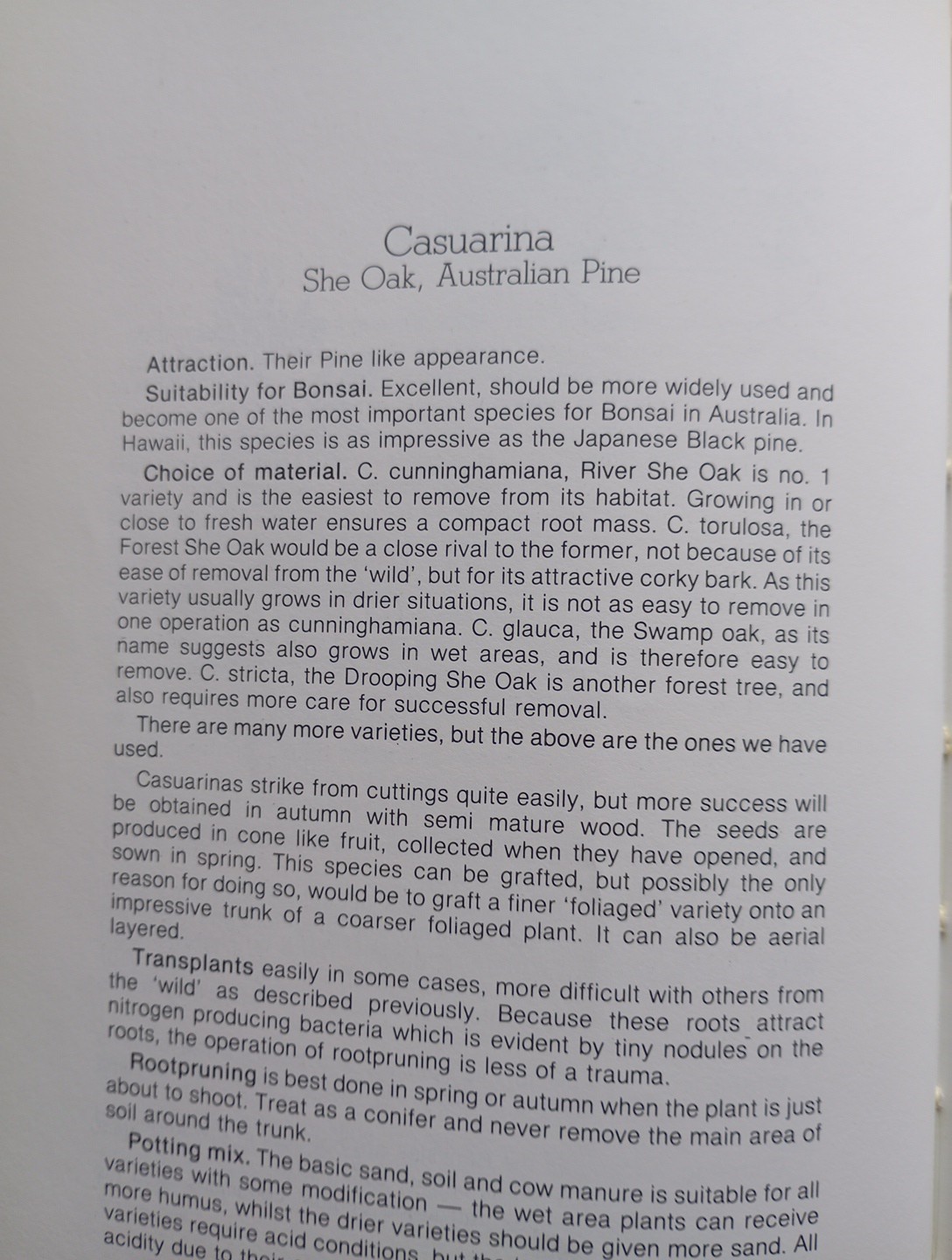 Bonsai with Australian Native Plants by Deborah R. Koreshoff (Paperback, 1985) - Image 7