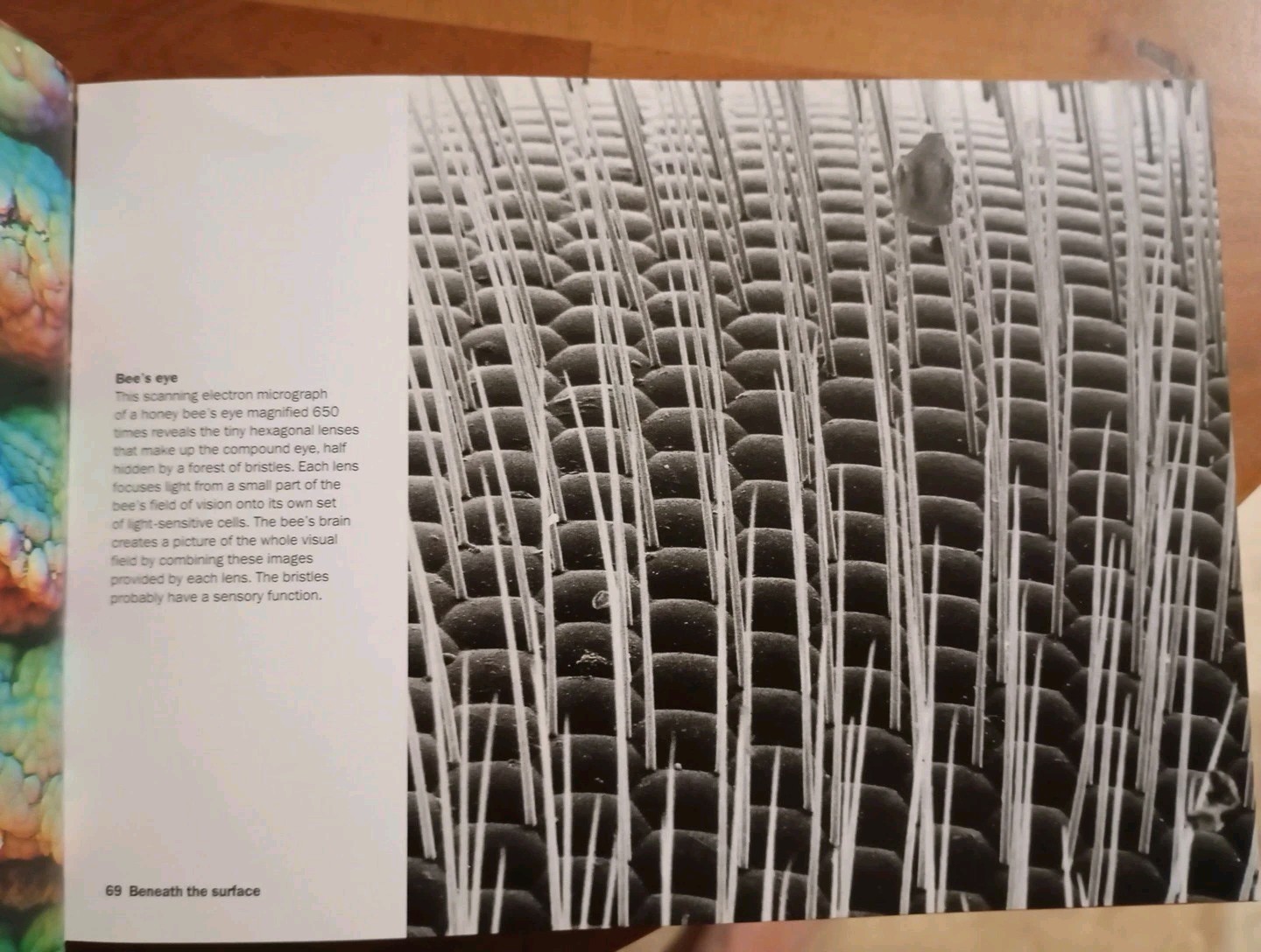 Heaven & Earth: Unseen by the Naked Eye by Phaidon Press (Softcover,2004) - Image 6