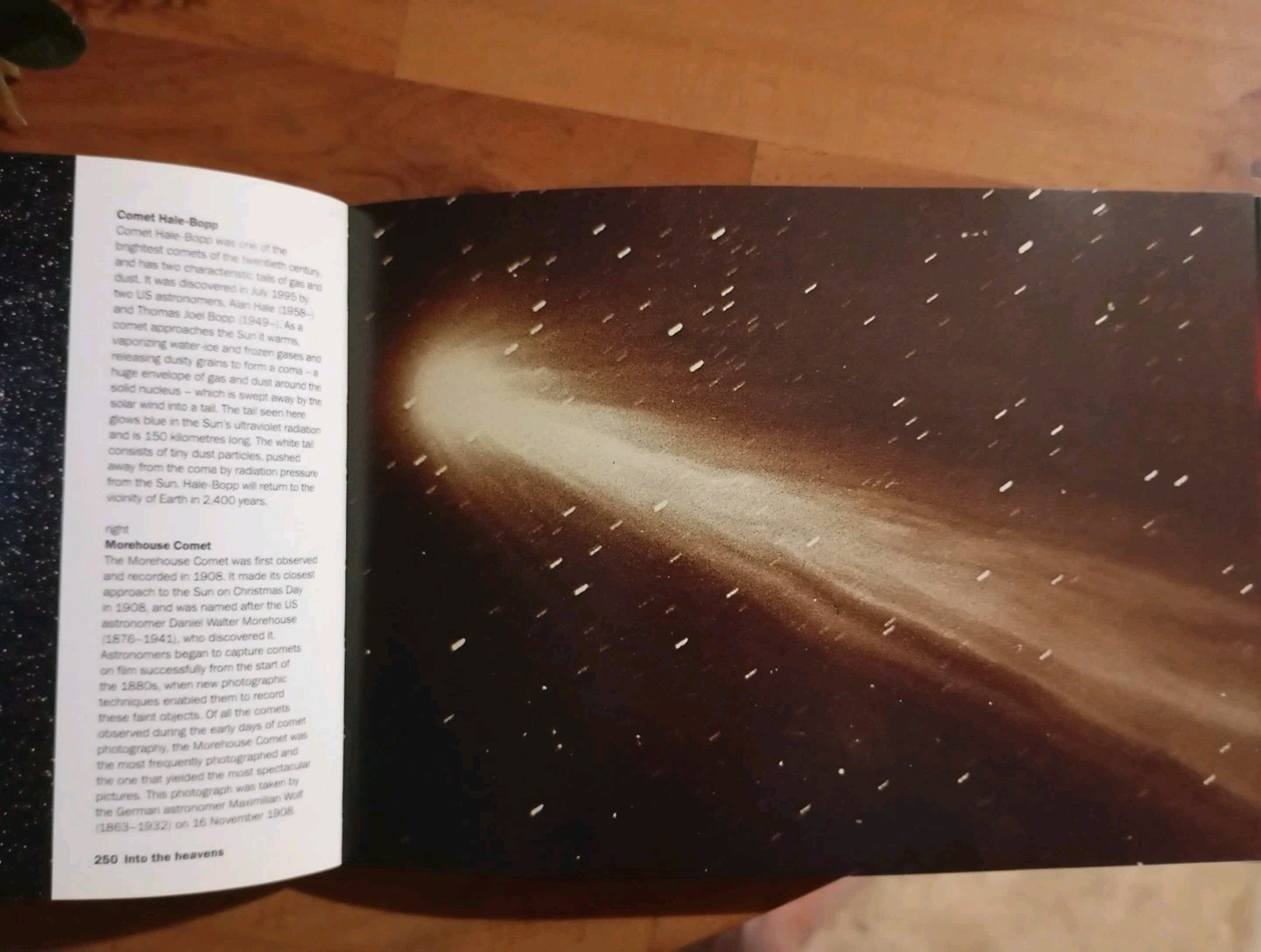 Heaven & Earth: Unseen by the Naked Eye by Phaidon Press (Softcover,2004) - Image 8